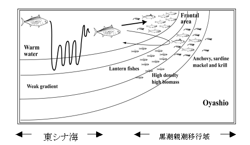 図２