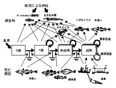 図１