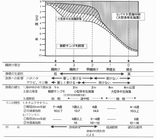 図１