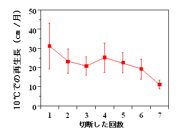 図２