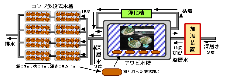 図３