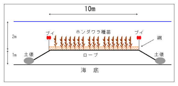 図１