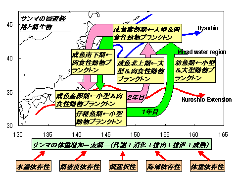 図１