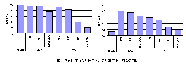 図１