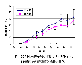 図２