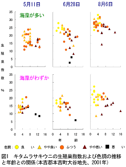 図１