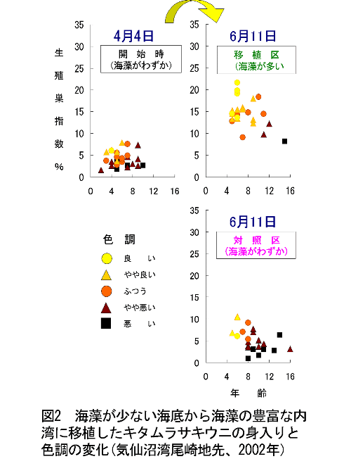 図２