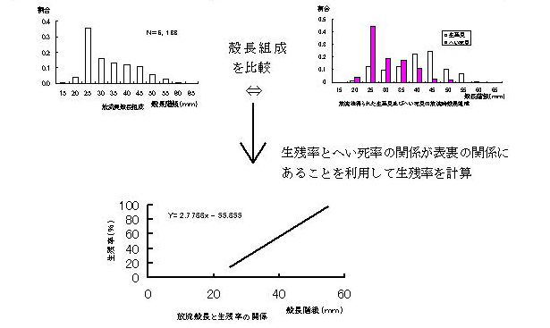 図