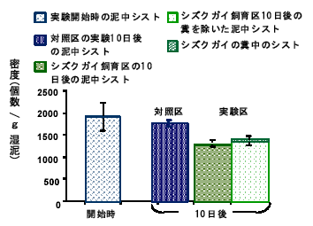 図２