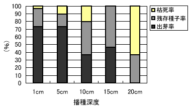 図１