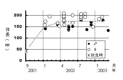 図１