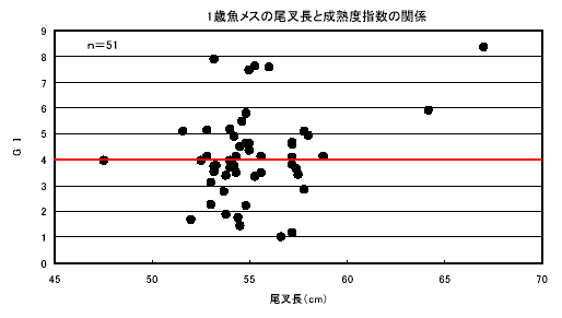 図３