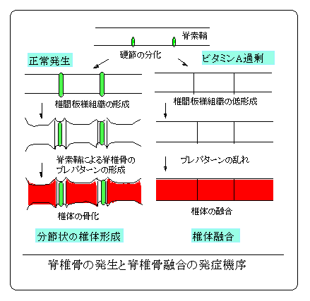 図１