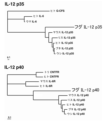 図１