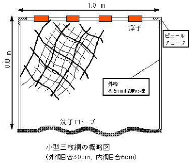 図