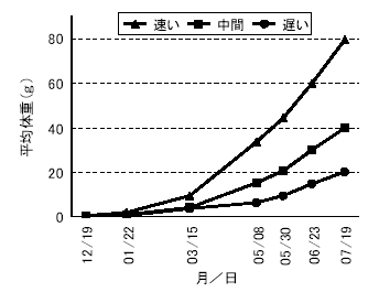 図１