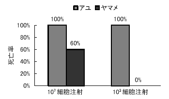 図１