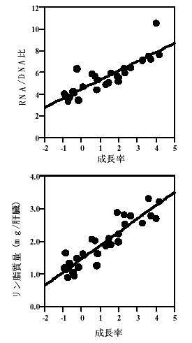 図１