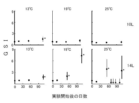 図１