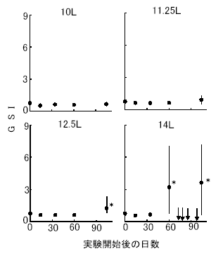 図２