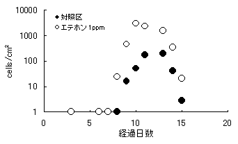 図１