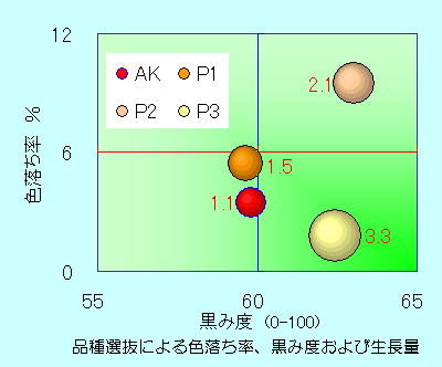 図１