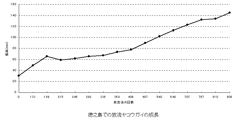 図１