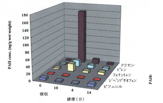 図２