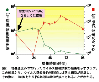 図２