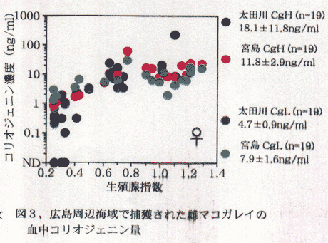 図３