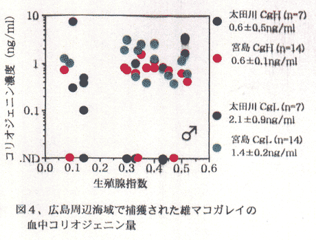 図４