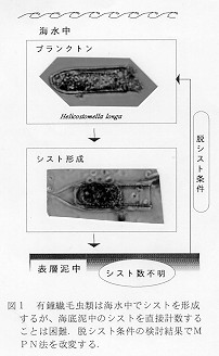 図１