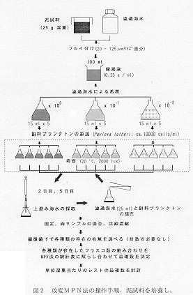 図２