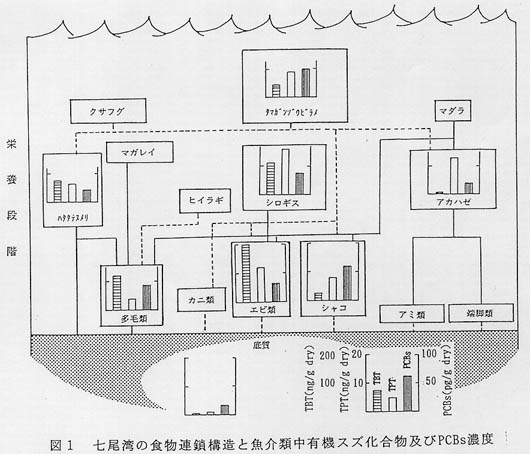 図１