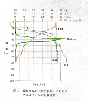 図３