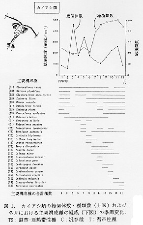 図１