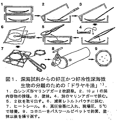 図１