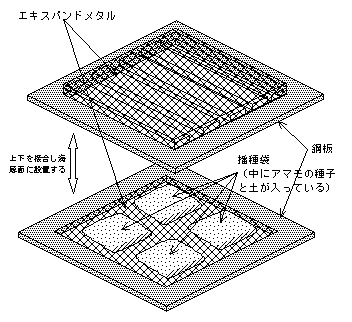 図１