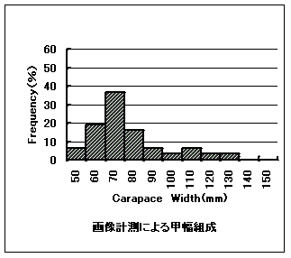 図１の上