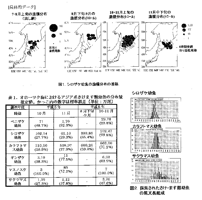 具体的データ