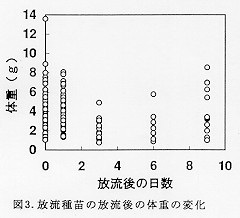 図３