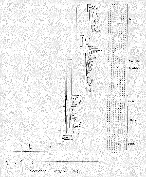 図１