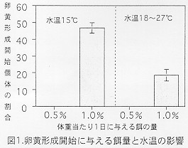 図１