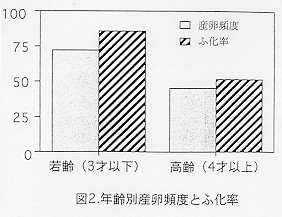 図２