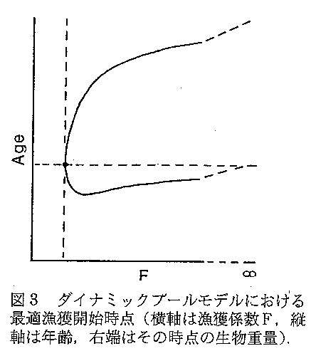 図３