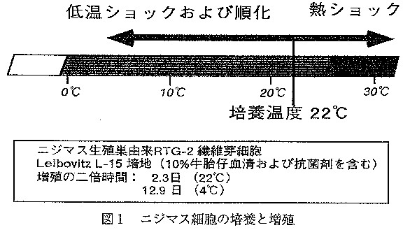 図１