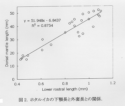 図２