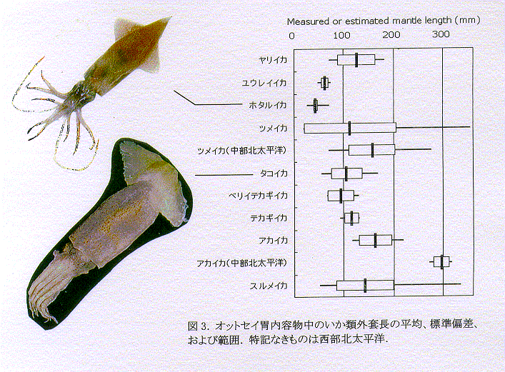 図３