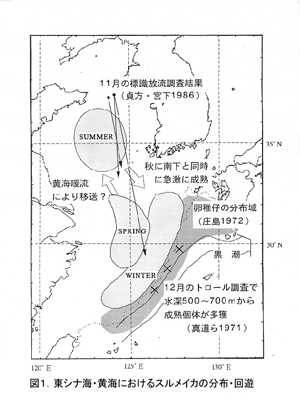 図１