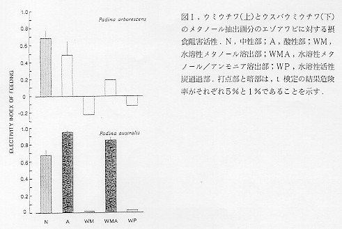 図１